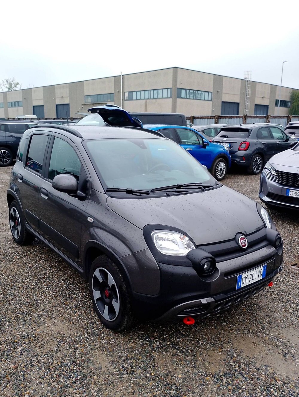 Fiat Panda usata a Salerno (2)