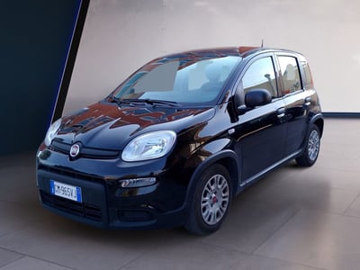 Fiat Panda van 1.0 hybrid Pop 70cv 2p.ti serie 4 E6d del 2023 usata a Fisciano
