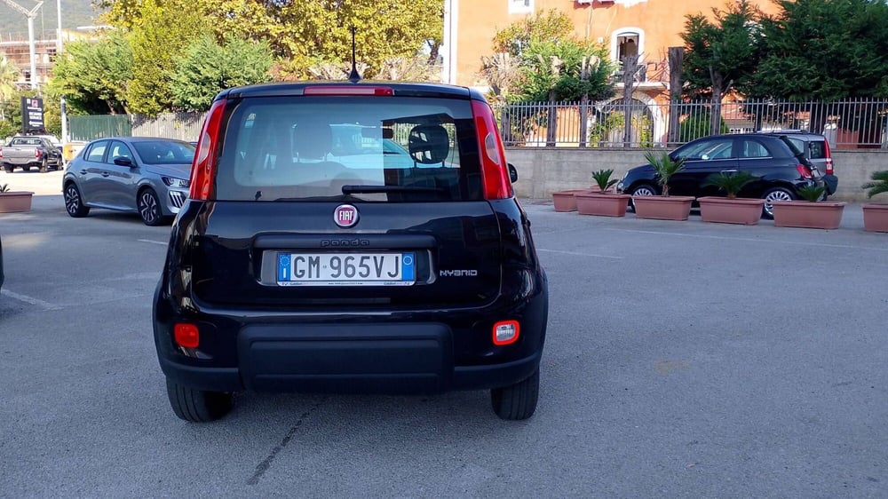 Fiat Panda usata a Salerno (10)