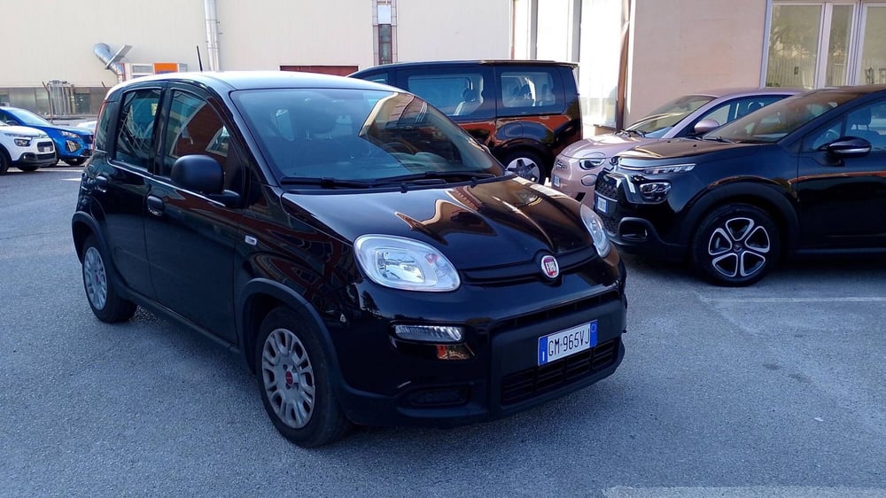 Fiat Panda usata a Salerno (2)