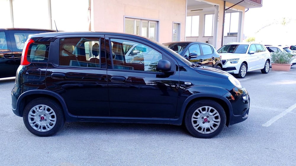 Fiat Panda usata a Salerno (9)