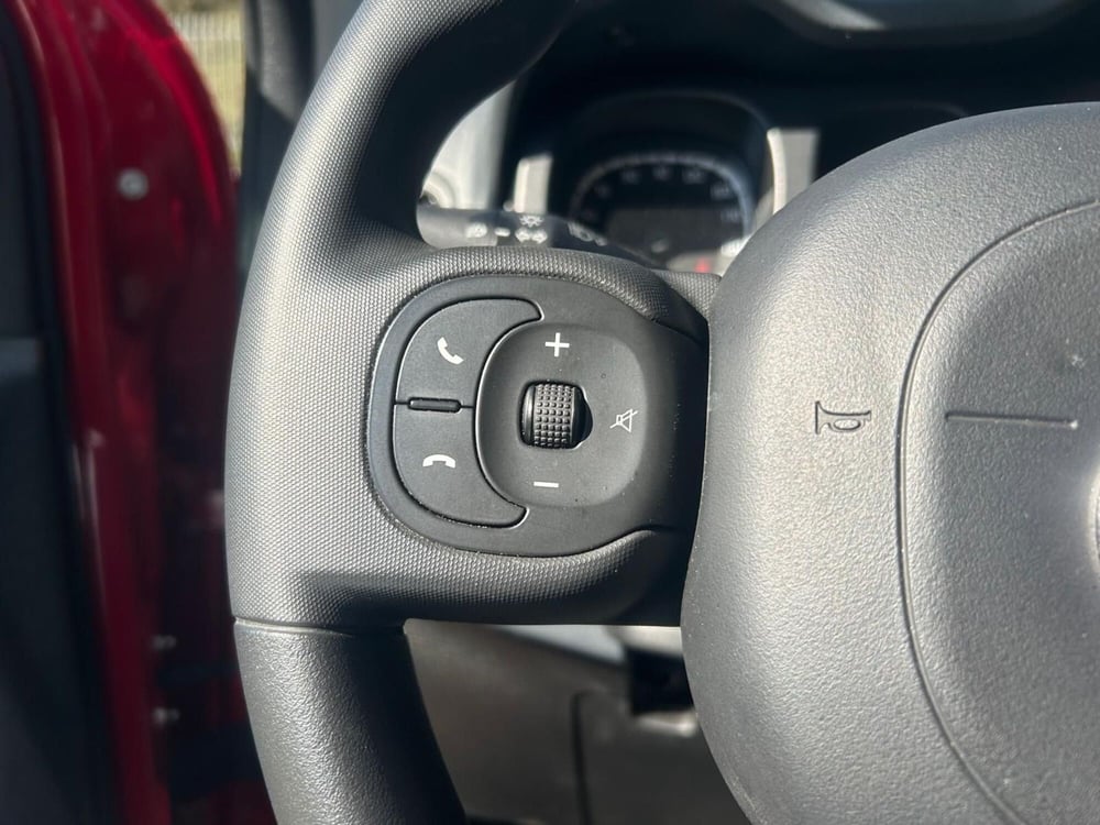 Fiat Panda Cross usata a Salerno (16)