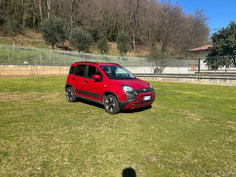Fiat Panda Cross usata a Salerno (2)