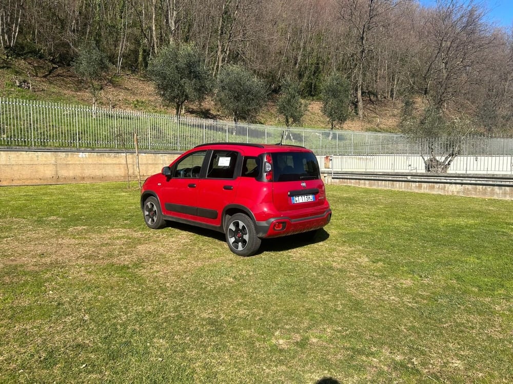 Fiat Panda Cross usata a Salerno (4)