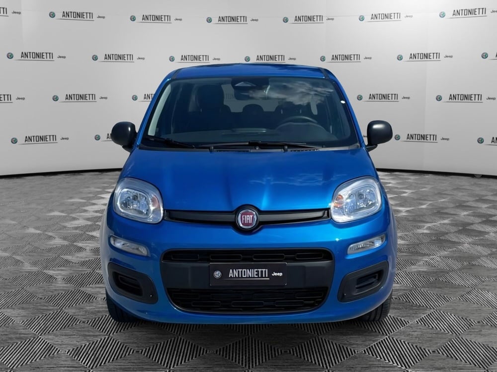 Fiat Panda nuova a Ancona (2)