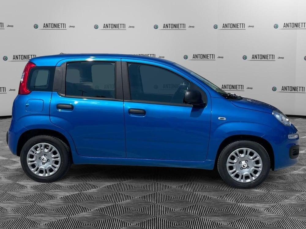 Fiat Panda nuova a Ancona (4)