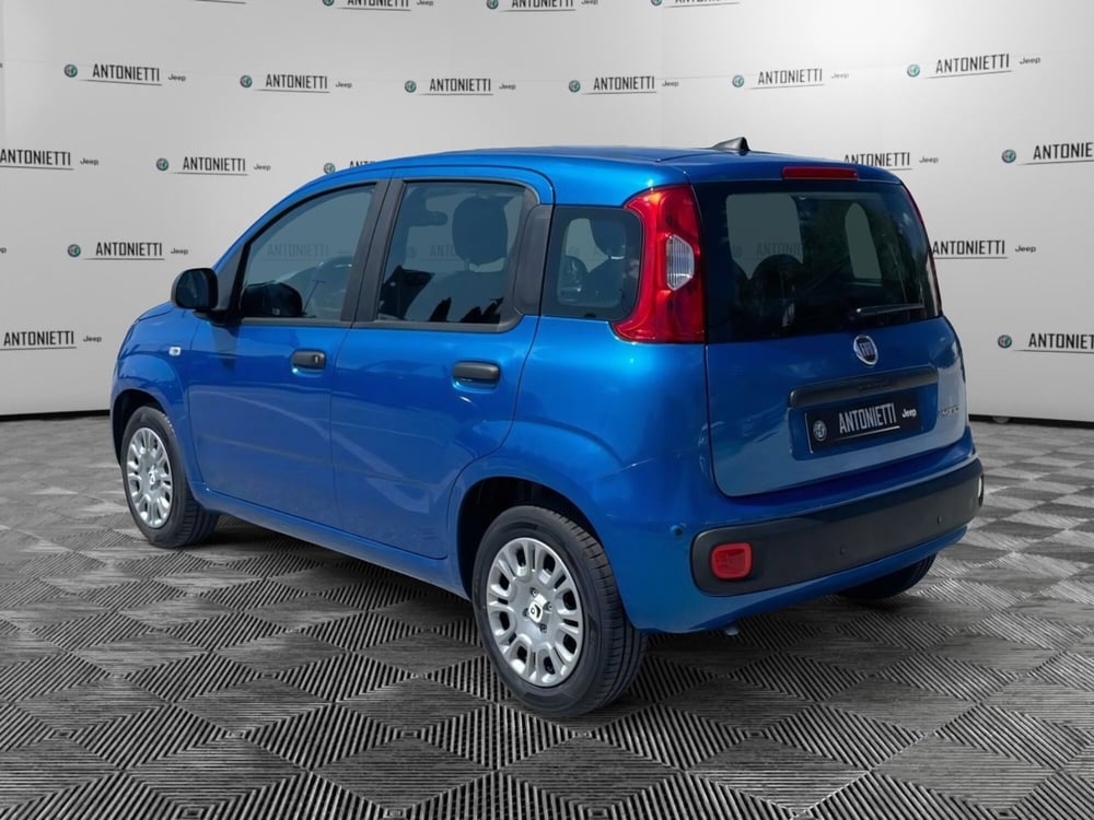 Fiat Panda nuova a Ancona (7)