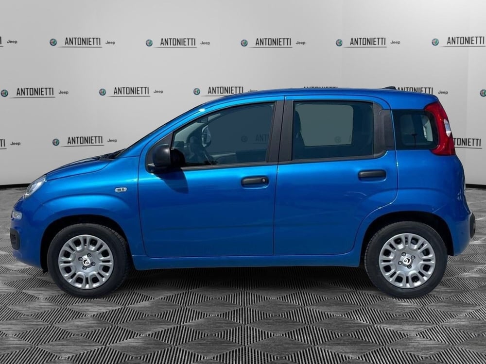 Fiat Panda nuova a Ancona (8)