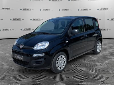 Fiat Panda 1.0 FireFly S&amp;S Hybrid City Cross nuova a Jesi