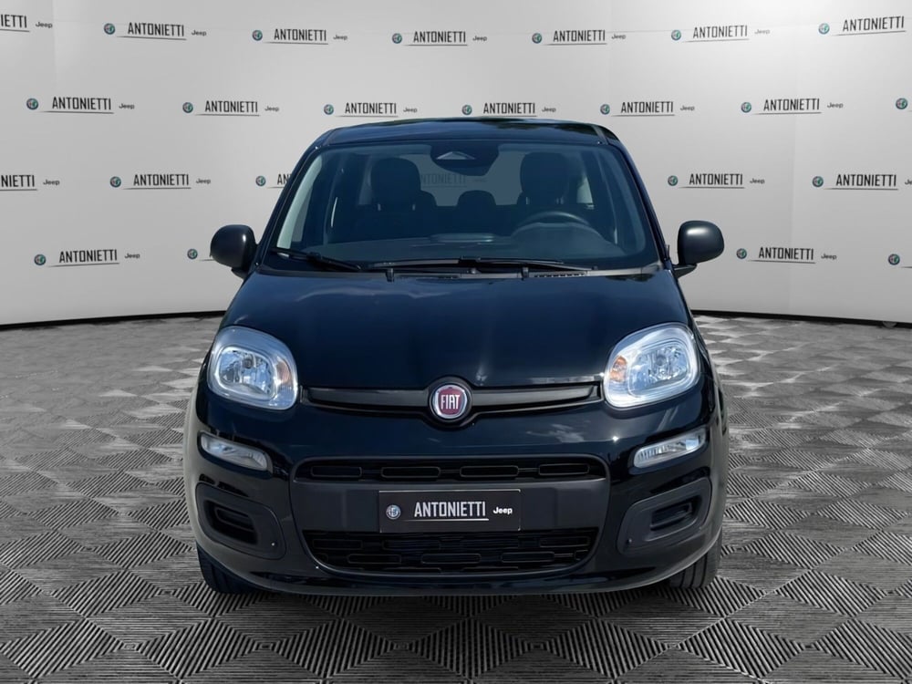 Fiat Panda nuova a Ancona (2)
