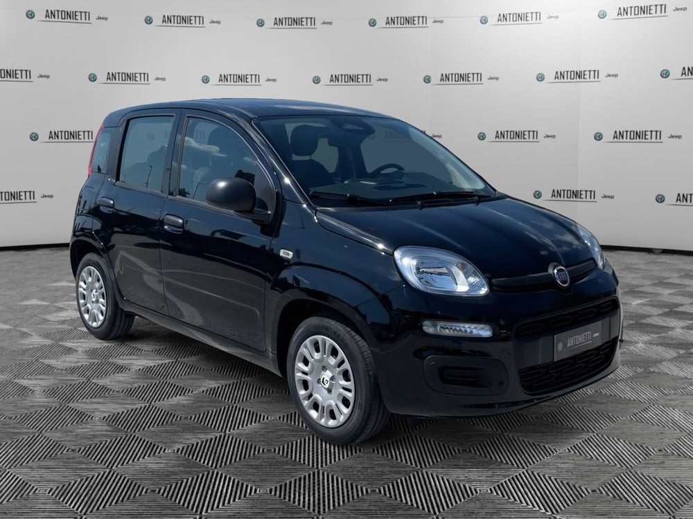 Fiat Panda nuova a Ancona (3)