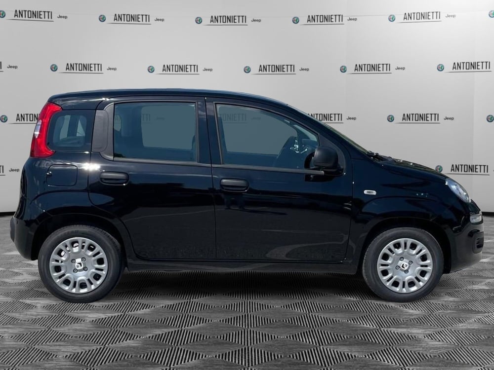 Fiat Panda nuova a Ancona (4)