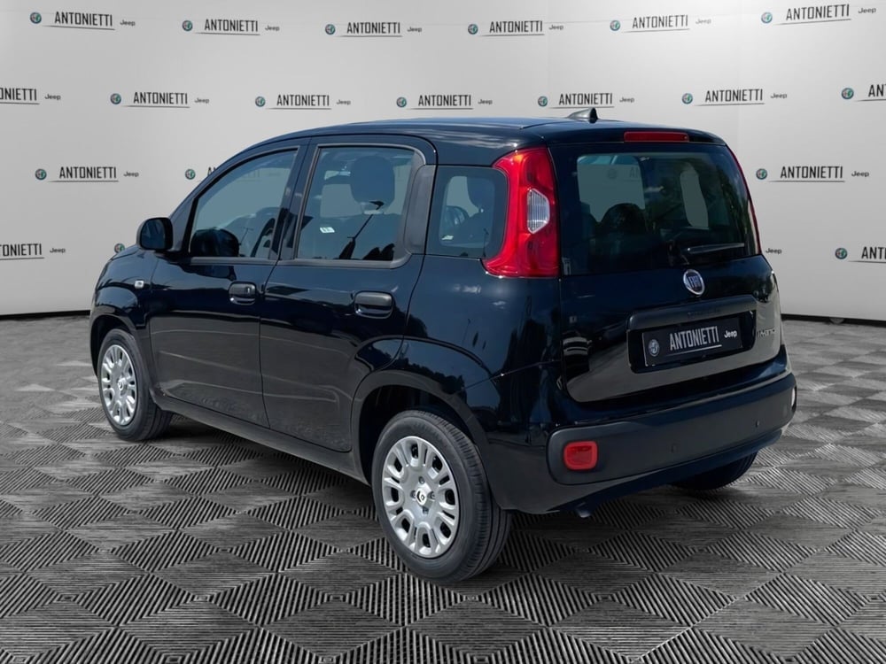 Fiat Panda nuova a Ancona (7)