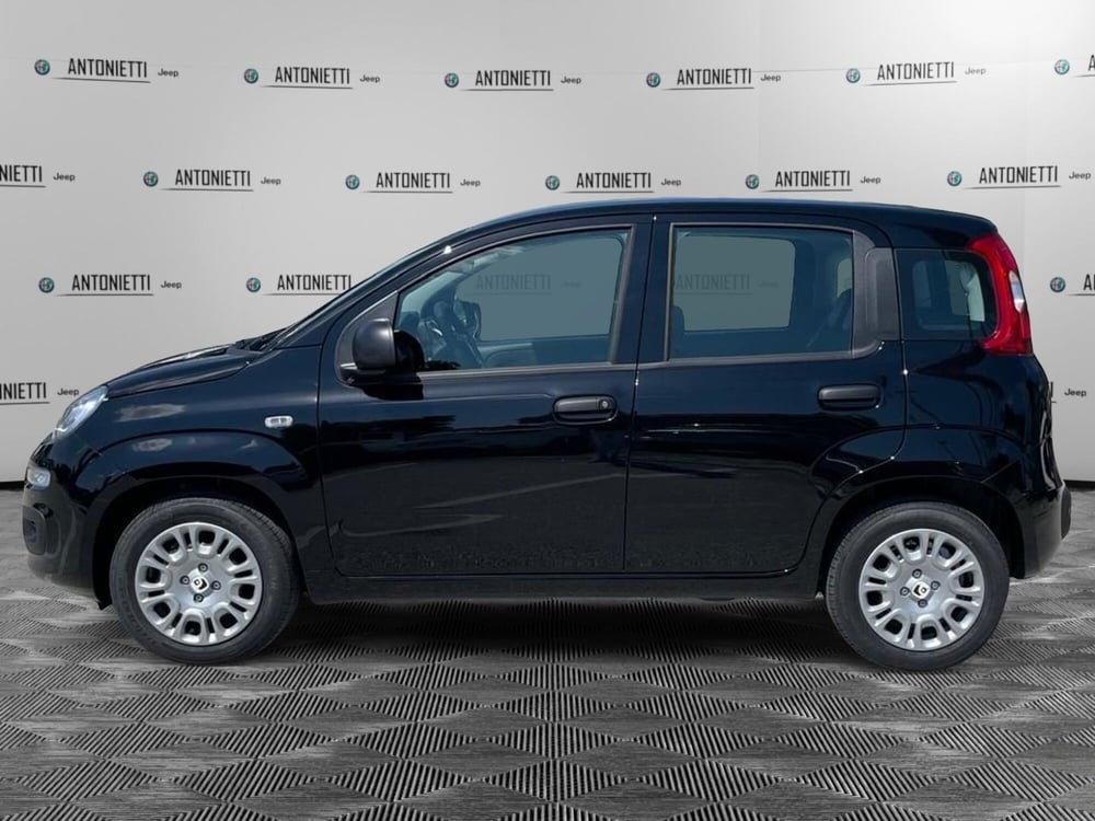 Fiat Panda nuova a Ancona (8)