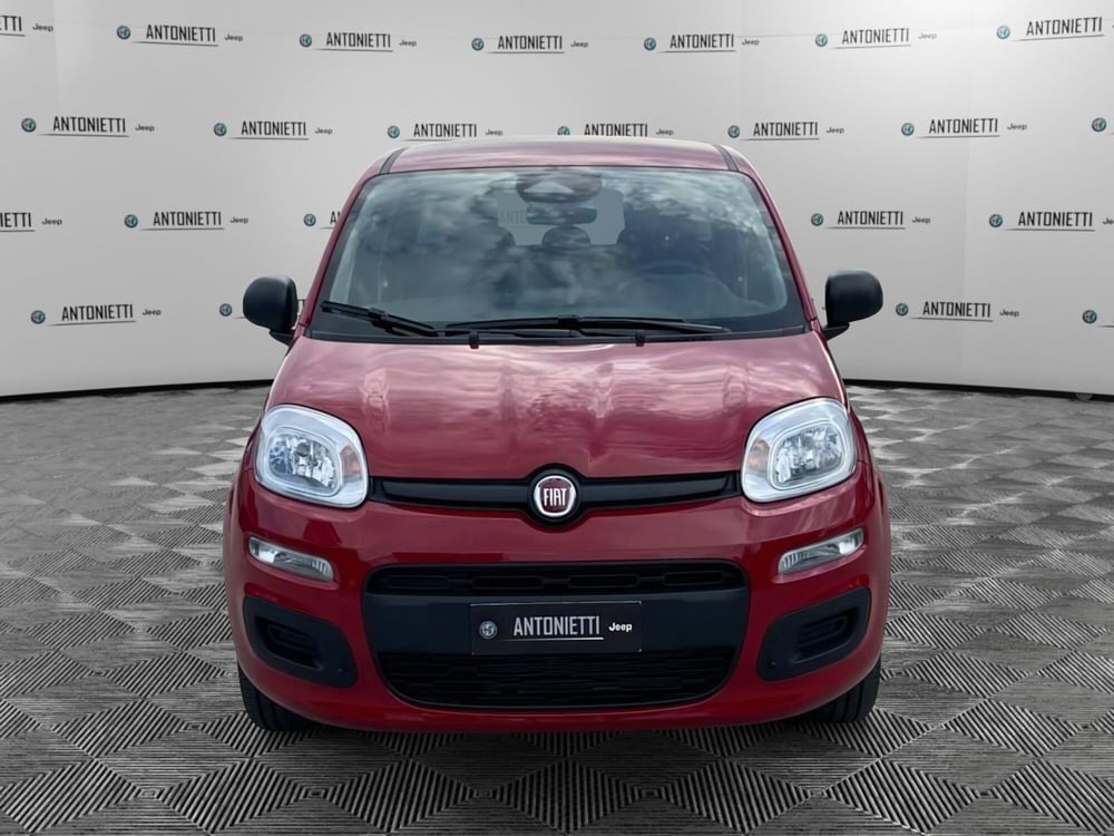 Fiat Panda nuova a Ancona (2)