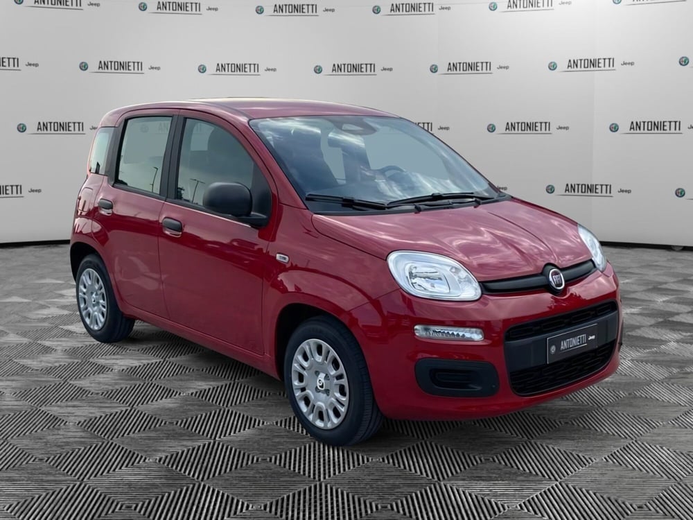 Fiat Panda nuova a Ancona (3)