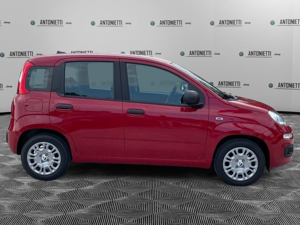 Fiat Panda nuova a Ancona (4)