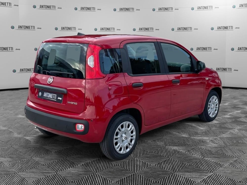Fiat Panda nuova a Ancona (5)