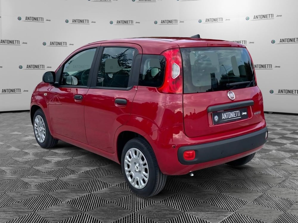 Fiat Panda nuova a Ancona (7)