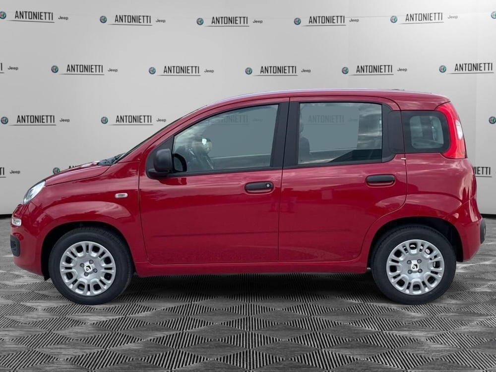 Fiat Panda nuova a Ancona (8)