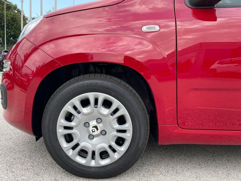 Fiat Panda nuova a Ancona (9)