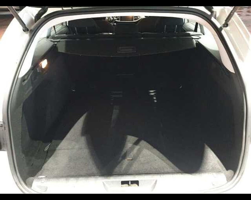 Peugeot 308 SW usata a Cuneo (17)