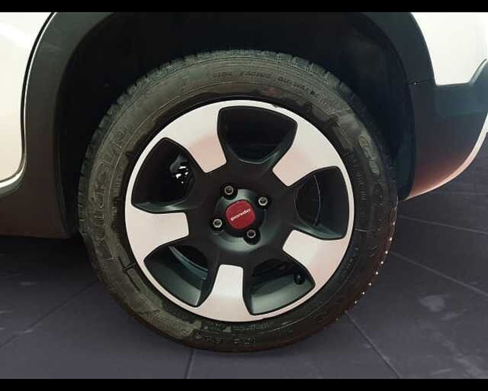 Fiat Panda Cross usata a Cuneo (10)