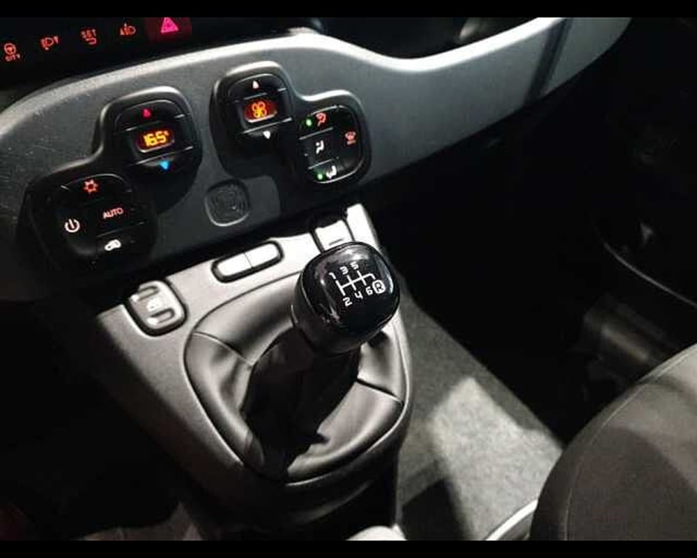Fiat Panda Cross usata a Cuneo (14)