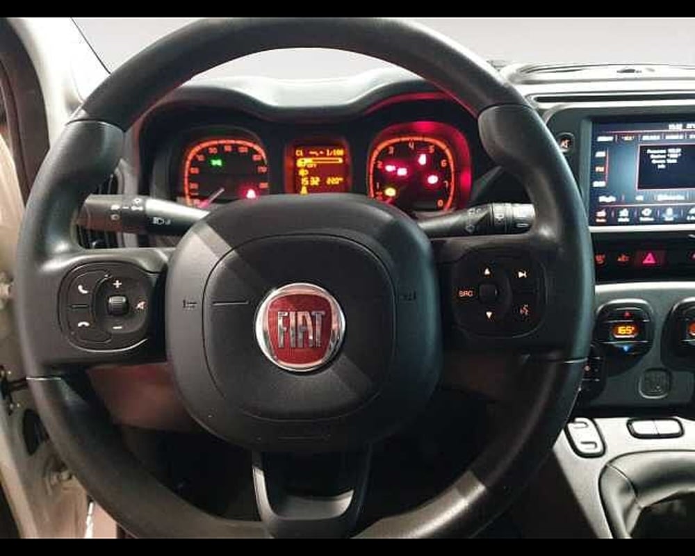Fiat Panda Cross usata a Cuneo (15)