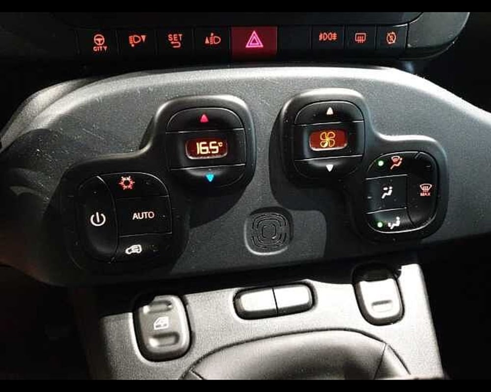 Fiat Panda Cross usata a Cuneo (20)