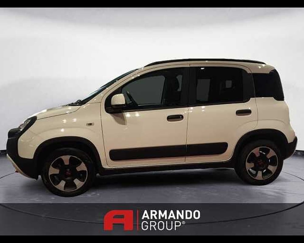 Fiat Panda Cross usata a Cuneo (8)