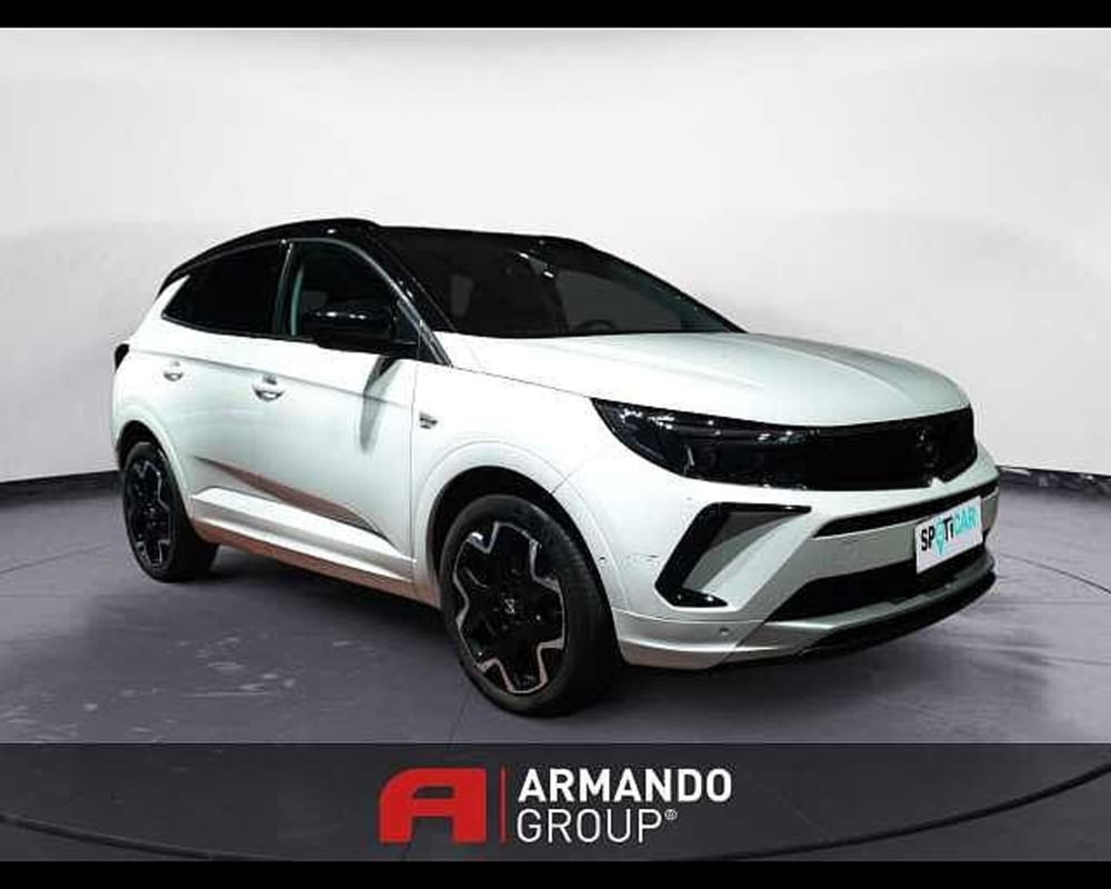 Opel Grandland X usata a Cuneo (3)