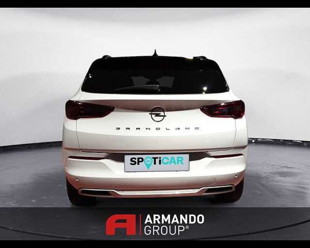Opel Grandland X usata a Cuneo (6)