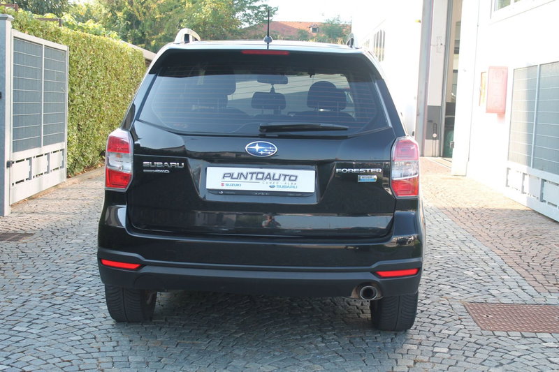 Subaru Forester usata a Cuneo (5)