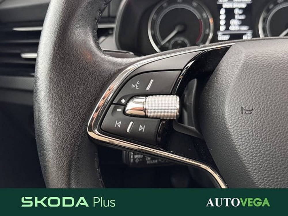 Skoda Kamiq usata a Vicenza (18)