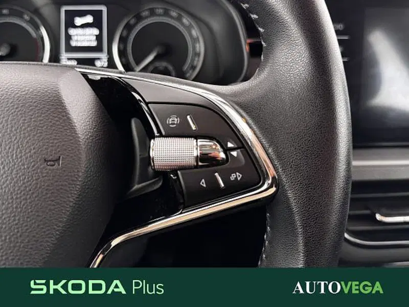Skoda Kamiq usata a Vicenza (19)