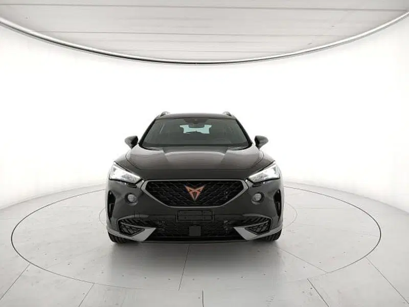 Cupra Formentor usata a Vicenza (11)