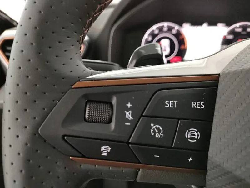 Cupra Formentor usata a Vicenza (18)