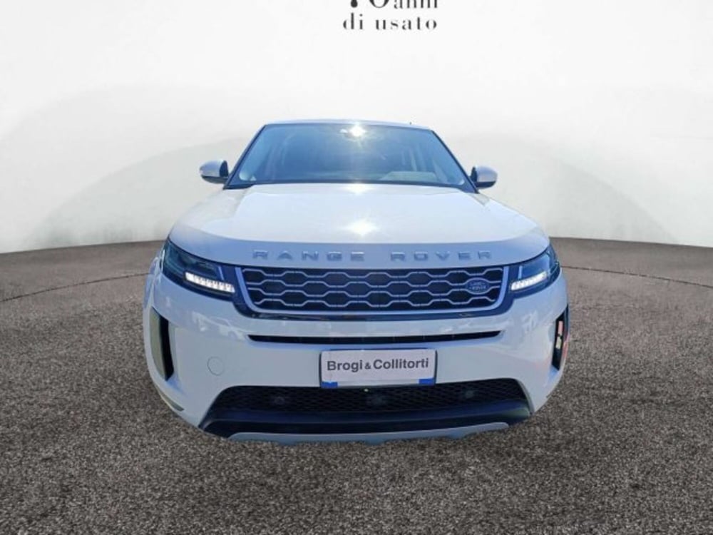 Land Rover Range Rover Evoque usata a Firenze (2)