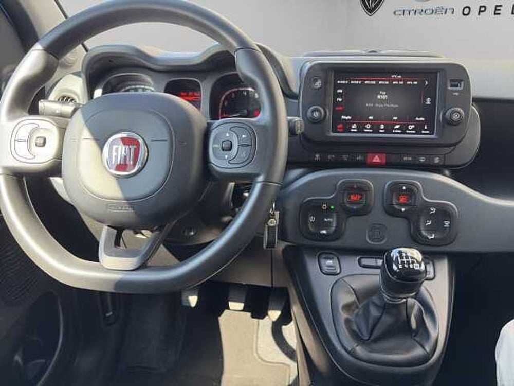 Fiat Panda Cross usata a Vibo Valentia (13)