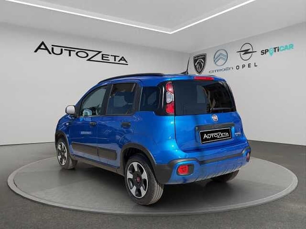 Fiat Panda Cross usata a Vibo Valentia (7)