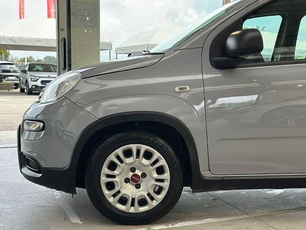 Fiat Panda usata a Venezia (2)
