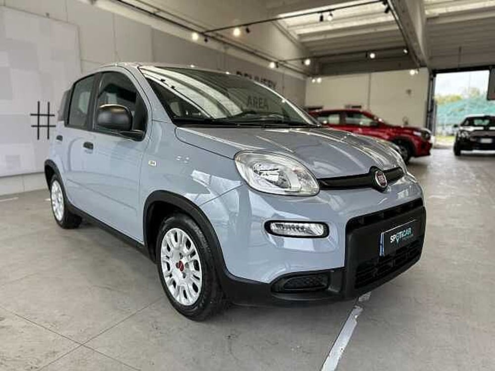 Fiat Panda usata a Venezia (7)