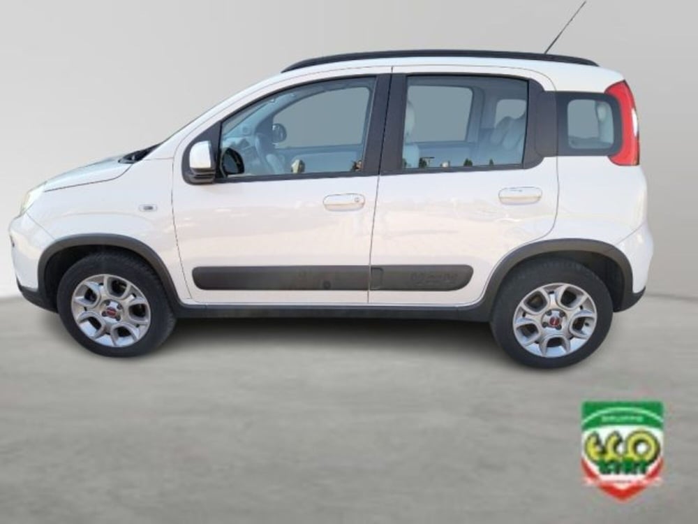 Fiat Panda Cross usata a Frosinone (3)
