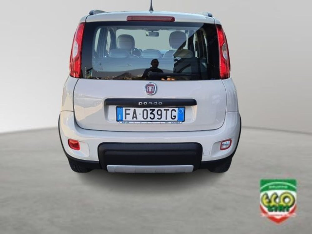 Fiat Panda Cross usata a Frosinone (5)