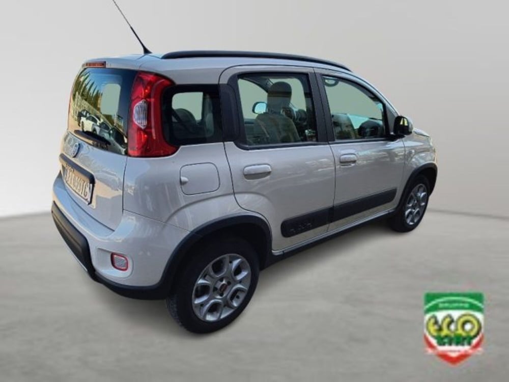 Fiat Panda Cross usata a Frosinone (6)