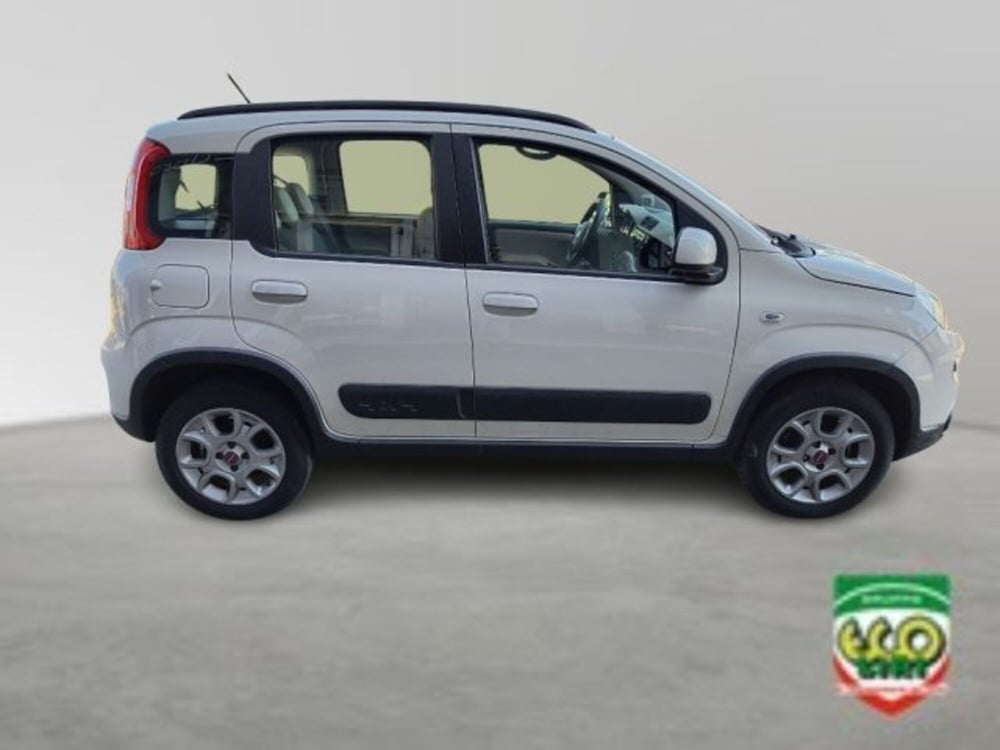 Fiat Panda Cross usata a Frosinone (7)