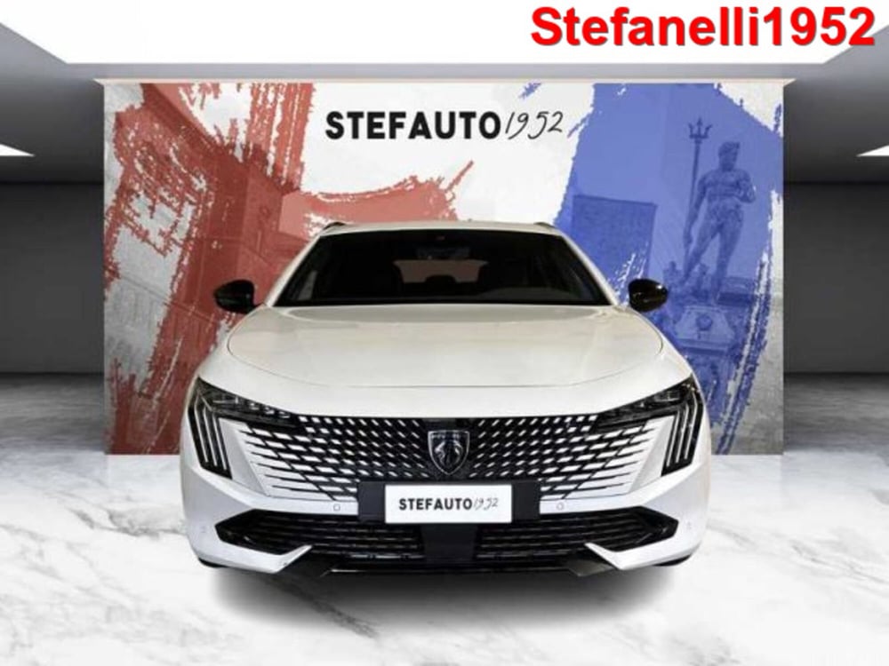 Peugeot 508 SW usata a Bologna (2)
