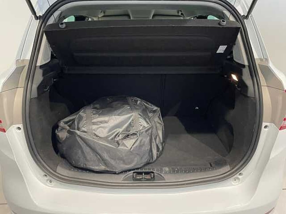 Ford B-Max usata a Ravenna (11)