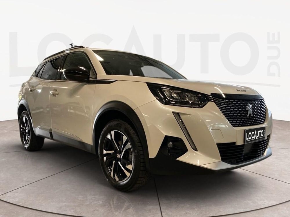 Peugeot 2008 usata a Torino (3)